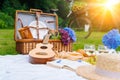 Summer picnic on sunny day with bread, fruit, bouquet hydrangea flowers, glasses wine, straw hat, book and ukulele Royalty Free Stock Photo