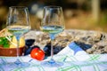 Summer picnic or wine tasting of white wine on vineyards in Lazio, Italy Royalty Free Stock Photo