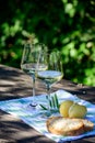 Summer picnic or wine tasting of white wine on vineyards in Lazio, Italy Royalty Free Stock Photo