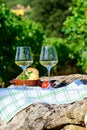 Summer picnic or wine tasting of white wine on vineyards in Lazio, Italy Royalty Free Stock Photo