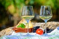 Summer picnic or wine tasting of white wine on vineyards in Lazio, Italy Royalty Free Stock Photo