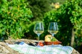 Summer picnic or wine tasting of white wine on vineyards in Lazio, Italy Royalty Free Stock Photo