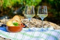 Summer picnic or wine tasting of white wine on vineyards in Lazio, Italy Royalty Free Stock Photo