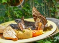 Butterfly on a Plate of Fruit Royalty Free Stock Photo