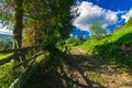 Summer picturesque vibrant landscape of fairy tale green hills and dirt foot path with rural wooden palisade in June month day Royalty Free Stock Photo