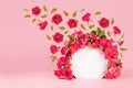 Summer pink spray roses as framing of round arch on pink abstract scene mockup, soar flow of buds and green leaves. Template.