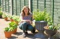 Summer plants grown from corms and cuttings.