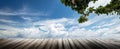 Summer plants and sky with clouds