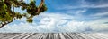 Summer plants and sky with clouds