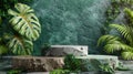 Summer Podium with Greenery and Abstract Rocks - 3D Render for Product Presentations Royalty Free Stock Photo