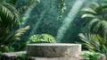 Summer Podium with Greenery and Abstract Rocks - 3D Render for Product Presentations Royalty Free Stock Photo