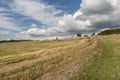 Summer Polish landscape in Sudety