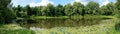 Summer Pond Panorama Royalty Free Stock Photo