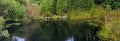 Summer Pond Panorama Royalty Free Stock Photo