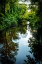 Summer pond Reflections Evening Royalty Free Stock Photo