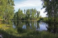 Summer pond surrounded by birches
