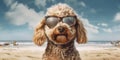 Summer Pooch Poodle Dog with a Smiling Face Strikes a Pose on the Sandy Beach. Generative AI