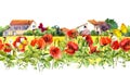 Summer poppies flowers, butterflies, provencal houses. Floral border. Watercolor repeated frame stripe Royalty Free Stock Photo