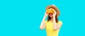 Summer portrait of happy smiling young woman covering her eyes with flowers as binoculars looking for something wearing round Royalty Free Stock Photo