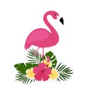 Summer postcard background with tropical plants and flowers, flamingos. For typographical, banner, poster, party invitation. Royalty Free Stock Photo