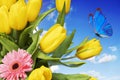 Summer postcard. yellow tulips with blue butterfly against blue sky with clouds