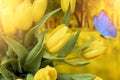 Summer postcard. yellow tulips with blue butterfly in the park in summer