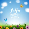 Summer Poster With Grass And Flowers Border With Butterfly