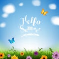 Summer Poster With Grass And Flowers Border With Butterfly Royalty Free Stock Photo