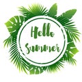 Summer poster with palm leaf