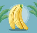 summer poster with set of bananas and leafs