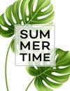 Summer poster with tropical palm leaf . Vector illustration Royalty Free Stock Photo