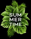 Summer poster with tropical palm leaf . Vector illustration Royalty Free Stock Photo