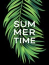 Summer poster with tropical palm leaf . Vector illustration Royalty Free Stock Photo