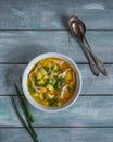 Summer potato soup with chicken and green onions in a deep light plate and tablespoons Royalty Free Stock Photo