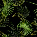 Summer print of exotic plants jungle tropical palm leaves. Banana. Pattern, seamless floral vector on a black background.Nature Royalty Free Stock Photo