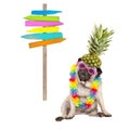 Summer pug dog sitting down with colorful hawaiian flower garland, pink sunglasses and pineapple hat, next to wooden beach sign po