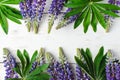 Summer purple lupine flowers on white wooden background.