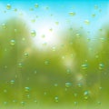 Summer rain background