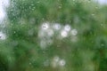 summer rain outside window, green foliage of trees out focus, texture glass of background with water drops, place for text, Royalty Free Stock Photo