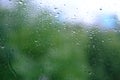 summer rain outside window, green foliage of trees out focus, texture glass of background with water drops, place for text, Royalty Free Stock Photo