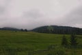 Summer rainy day. Landscape in the mountains with horses and heavy fog at the background. Zakarpattya, Ukraine Royalty Free Stock Photo