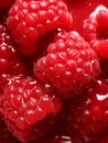 Summer raspberry macro fruit food ripe