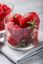 Summer raspberry sorbet with fresh raspberries, selective focus image