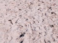 Summer reddish sand texture background