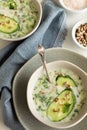Summer cold yogurt soup, healthy meal with fresh raw vegetables and dairy ingredients Royalty Free Stock Photo