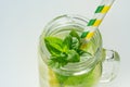 Summer refreshing detox cocktail. Water with lemon, mint and ice. Royalty Free Stock Photo