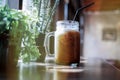 Summer refreshing drinks, cold iced coffee on wood table in relaxing atmosphere coffee shop with blurred indoor potted plants