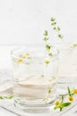 Chamomile, thyme and honey cocktail Royalty Free Stock Photo