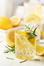 Summer refreshing lemonade drink or alcoholic cocktail with ice, rosemary and lemon slices on the white table Royalty Free Stock Photo