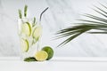 Summer refreshing organic citrus beverage with ice, lime slice, green rosemary twig, silver straw, ingredients, palm leaves. Royalty Free Stock Photo